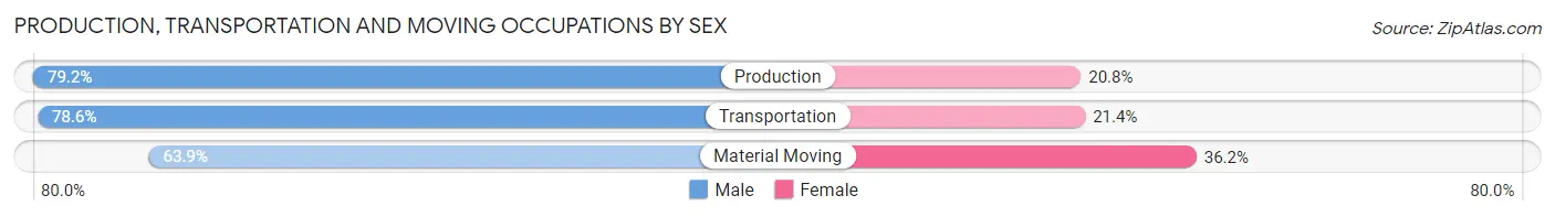 Production, Transportation and Moving Occupations by Sex in Zip Code 19074