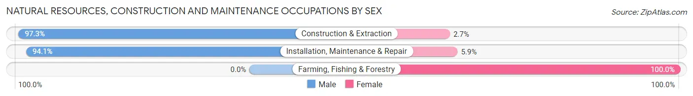 Natural Resources, Construction and Maintenance Occupations by Sex in Zip Code 19087