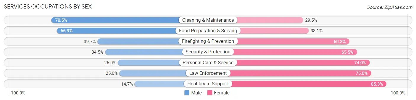 Services Occupations by Sex in Zip Code 19090