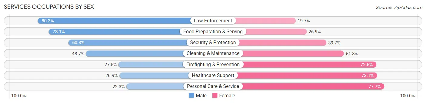 Services Occupations by Sex in Zip Code 19119