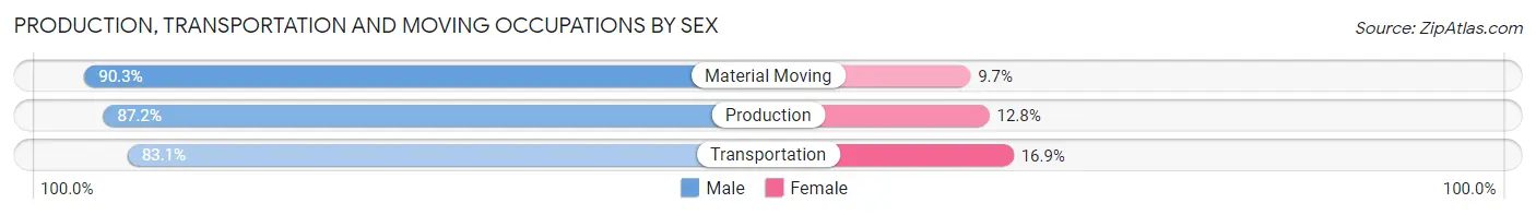Production, Transportation and Moving Occupations by Sex in Zip Code 19138