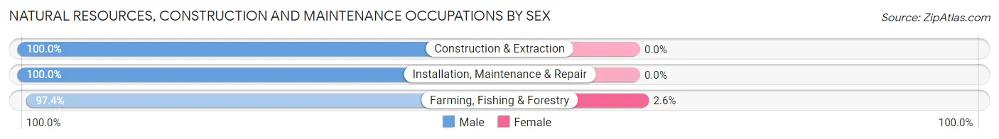 Natural Resources, Construction and Maintenance Occupations by Sex in Zip Code 19317
