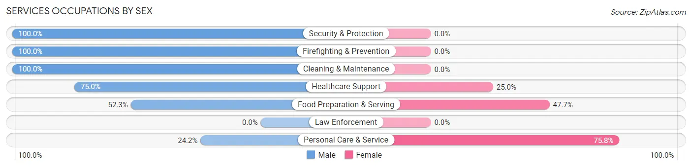 Services Occupations by Sex in Zip Code 19317