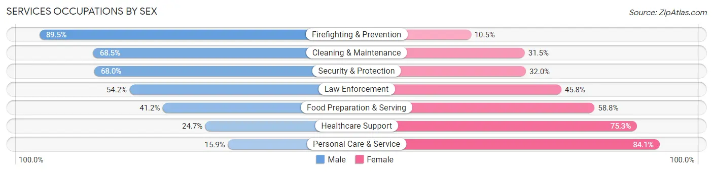 Services Occupations by Sex in Zip Code 19320