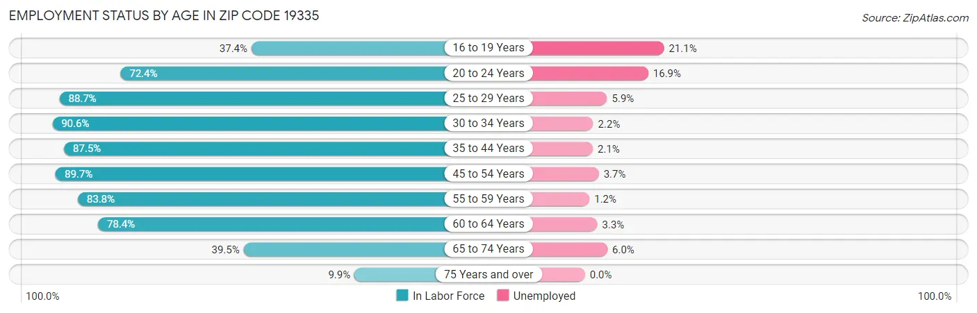 Employment Status by Age in Zip Code 19335