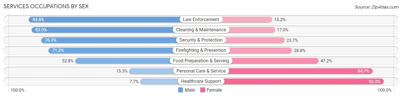 Services Occupations by Sex in Zip Code 19335