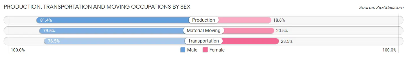 Production, Transportation and Moving Occupations by Sex in Zip Code 19348