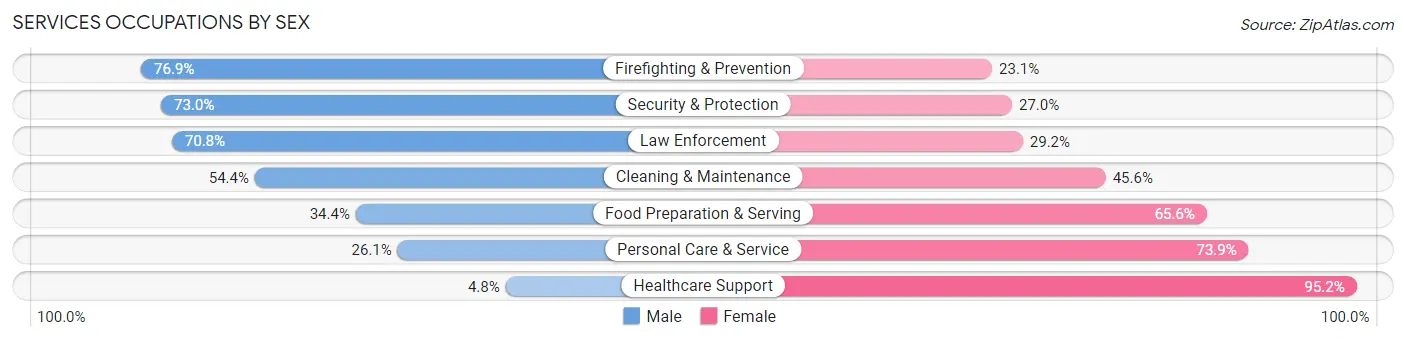 Services Occupations by Sex in Zip Code 19348