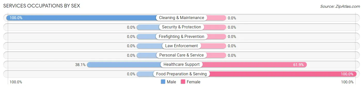 Services Occupations by Sex in Zip Code 19358