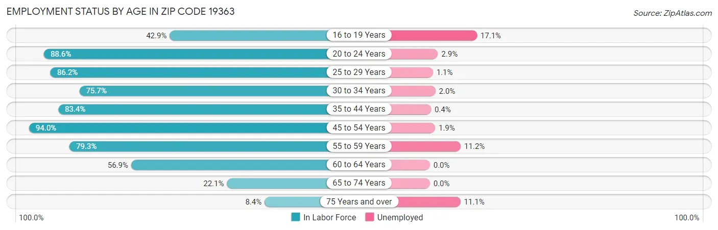 Employment Status by Age in Zip Code 19363