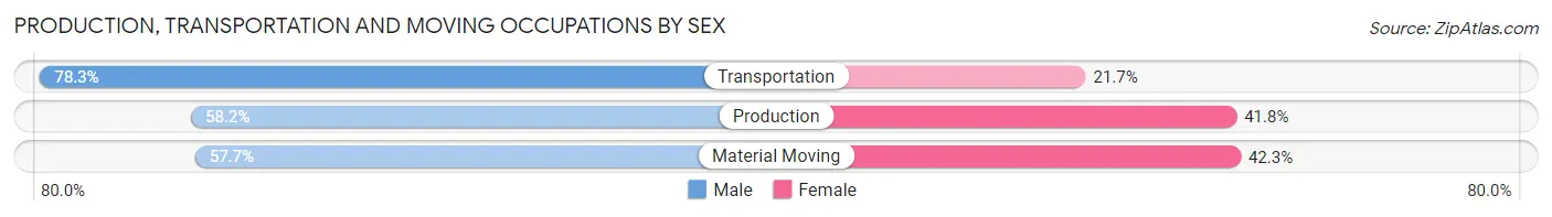 Production, Transportation and Moving Occupations by Sex in Zip Code 19363