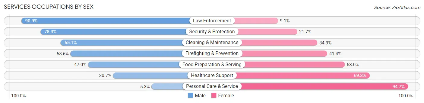 Services Occupations by Sex in Zip Code 19363