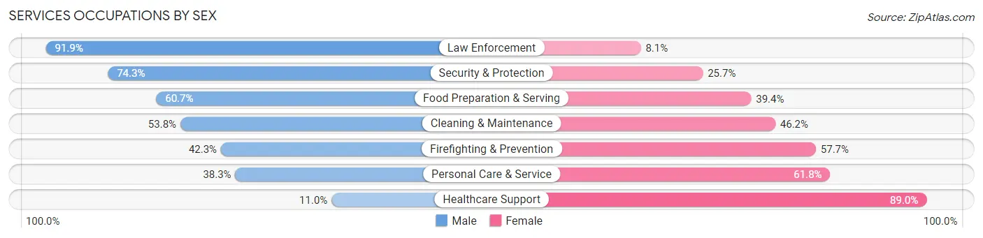 Services Occupations by Sex in Zip Code 19380