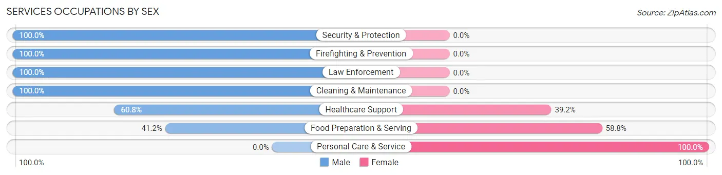 Services Occupations by Sex in Zip Code 19405