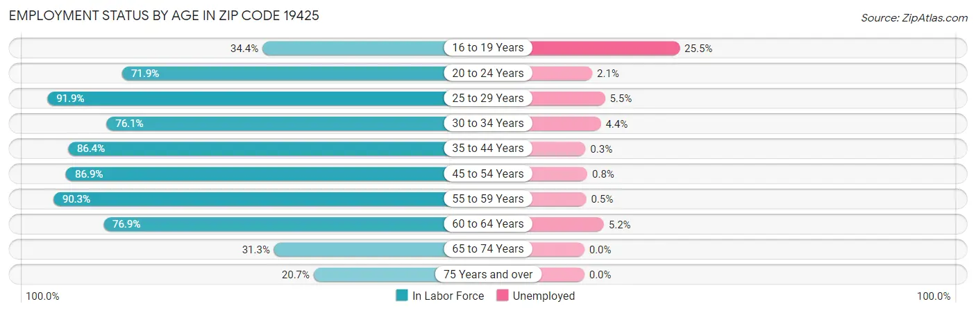Employment Status by Age in Zip Code 19425