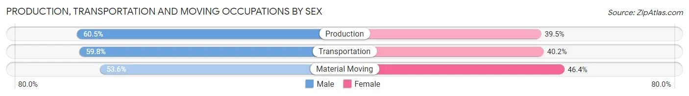 Production, Transportation and Moving Occupations by Sex in Zip Code 19426