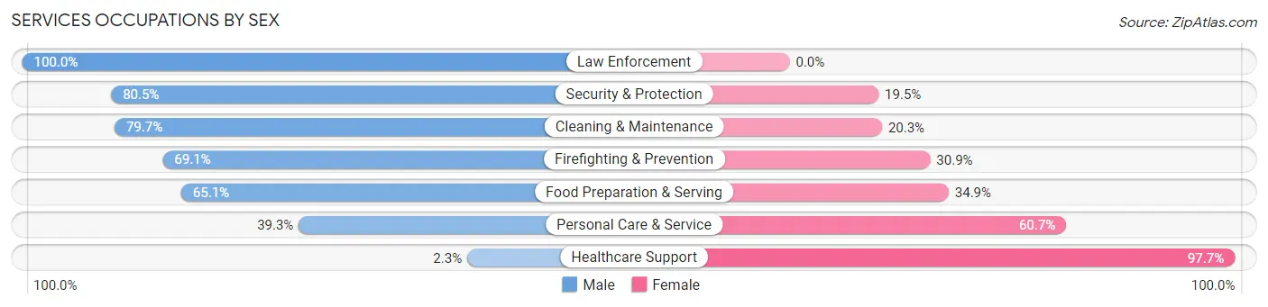 Services Occupations by Sex in Zip Code 19428