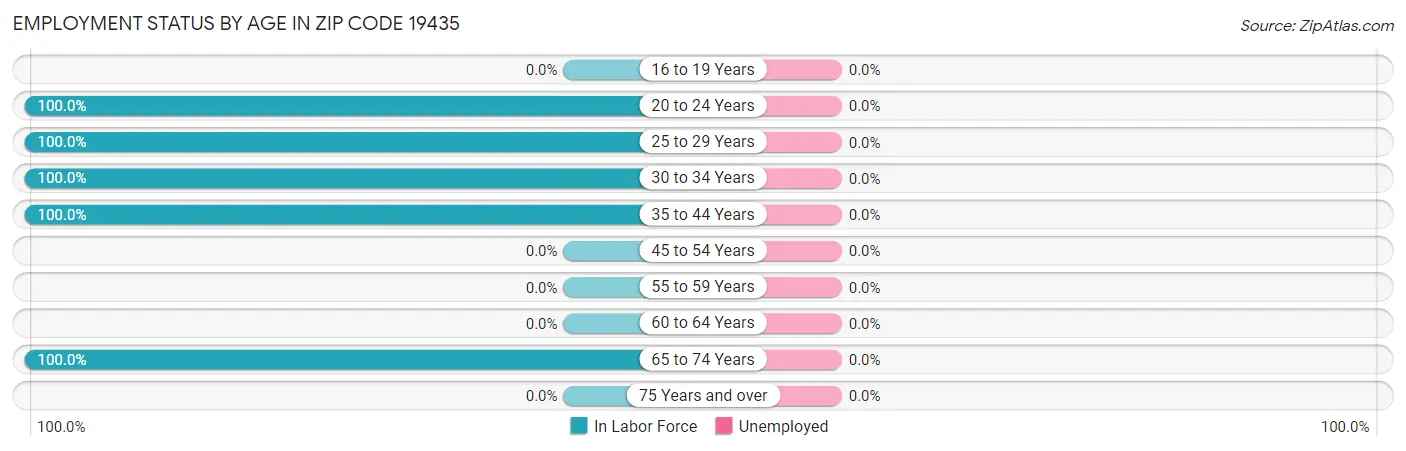 Employment Status by Age in Zip Code 19435