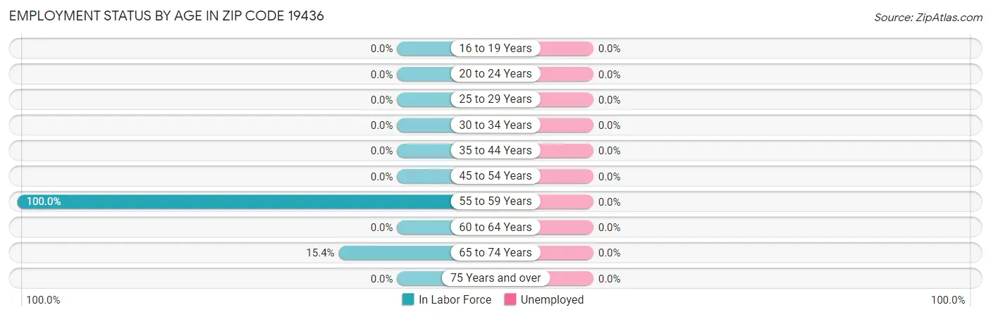 Employment Status by Age in Zip Code 19436