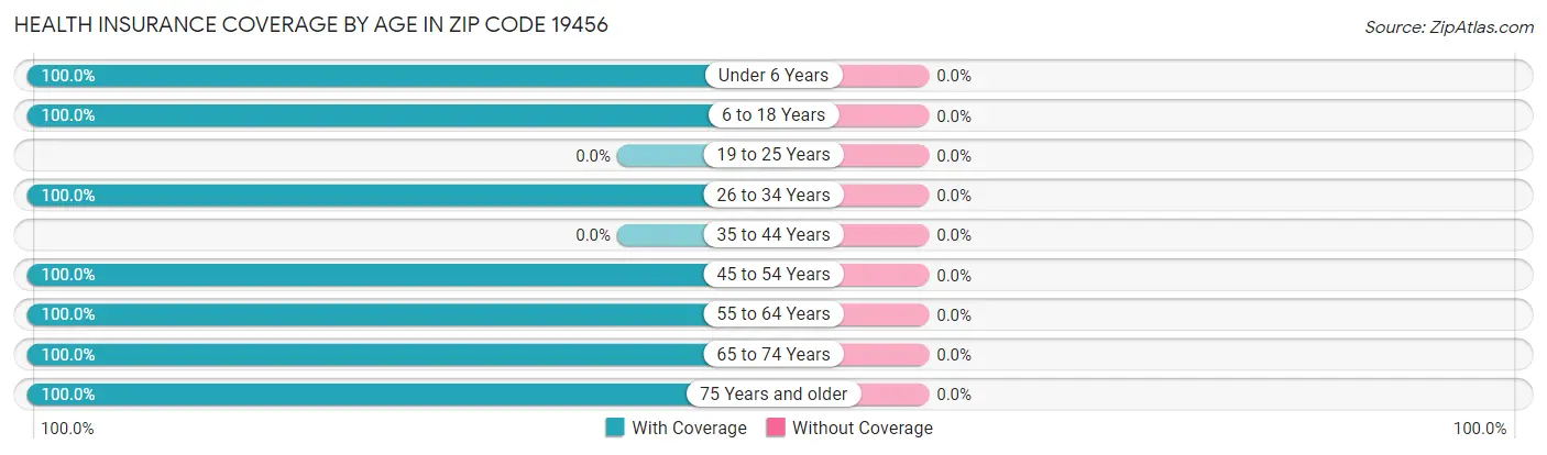 Health Insurance Coverage by Age in Zip Code 19456