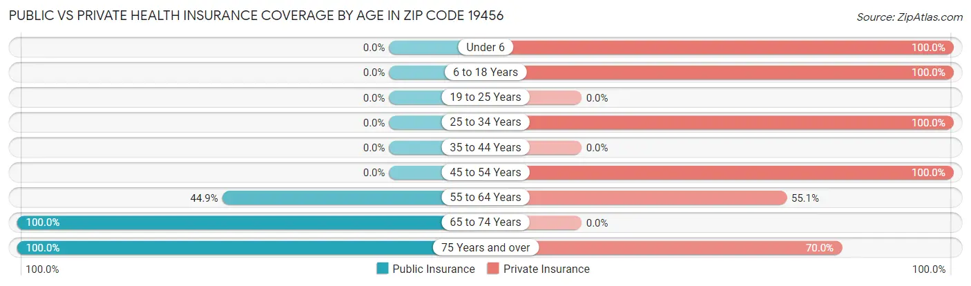 Public vs Private Health Insurance Coverage by Age in Zip Code 19456