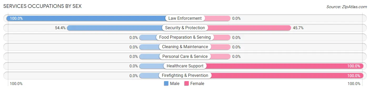 Services Occupations by Sex in Zip Code 19456