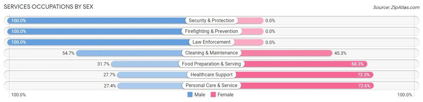Services Occupations by Sex in Zip Code 19462