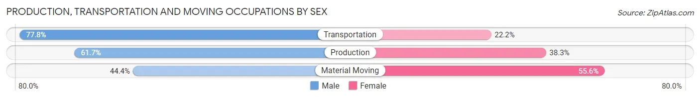 Production, Transportation and Moving Occupations by Sex in Zip Code 19465
