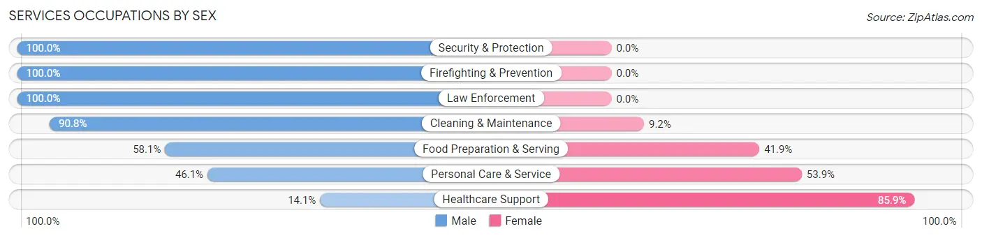 Services Occupations by Sex in Zip Code 19473