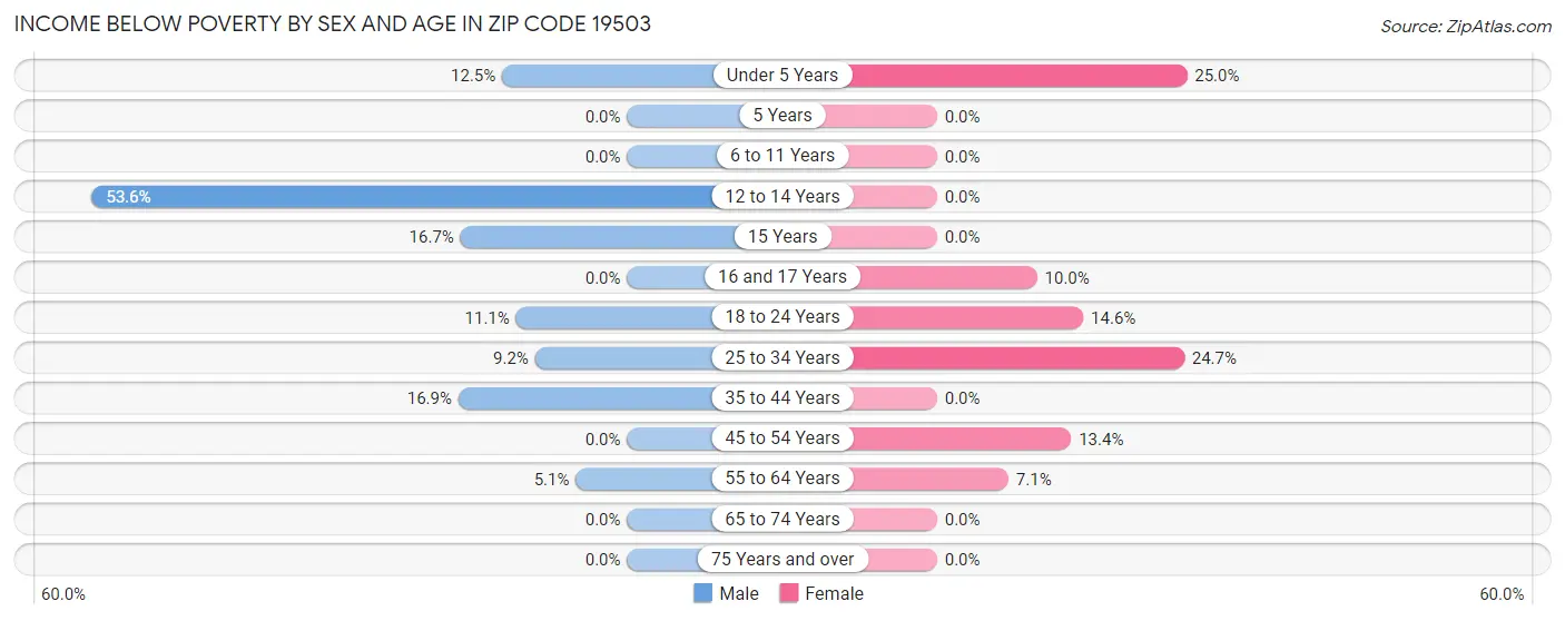 Income Below Poverty by Sex and Age in Zip Code 19503