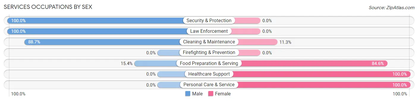 Services Occupations by Sex in Zip Code 19503