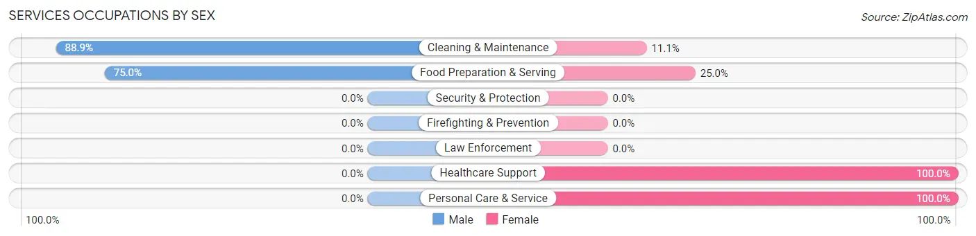 Services Occupations by Sex in Zip Code 19505
