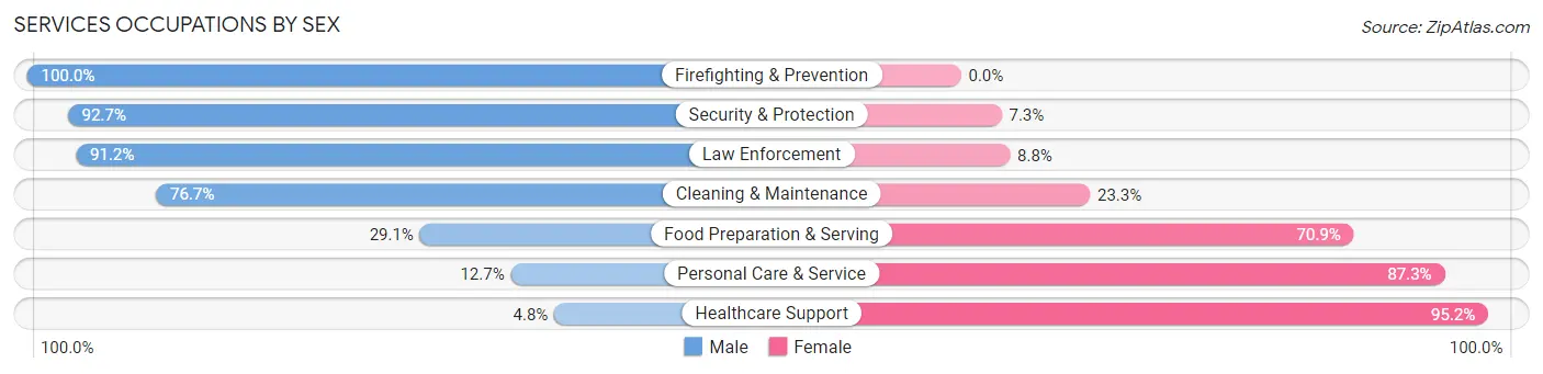 Services Occupations by Sex in Zip Code 19506