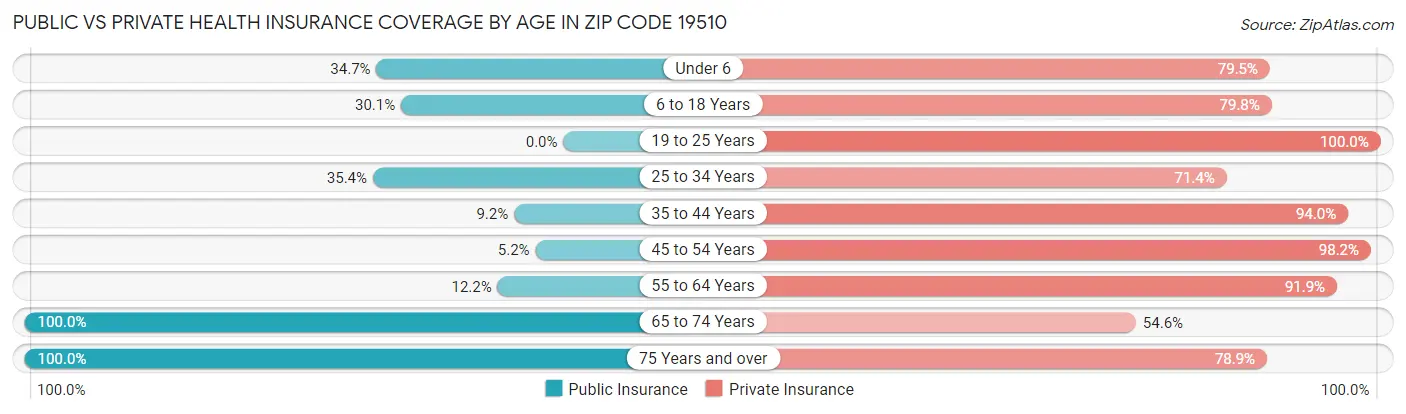 Public vs Private Health Insurance Coverage by Age in Zip Code 19510