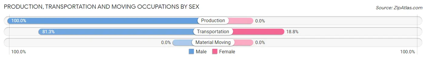 Production, Transportation and Moving Occupations by Sex in Zip Code 19516