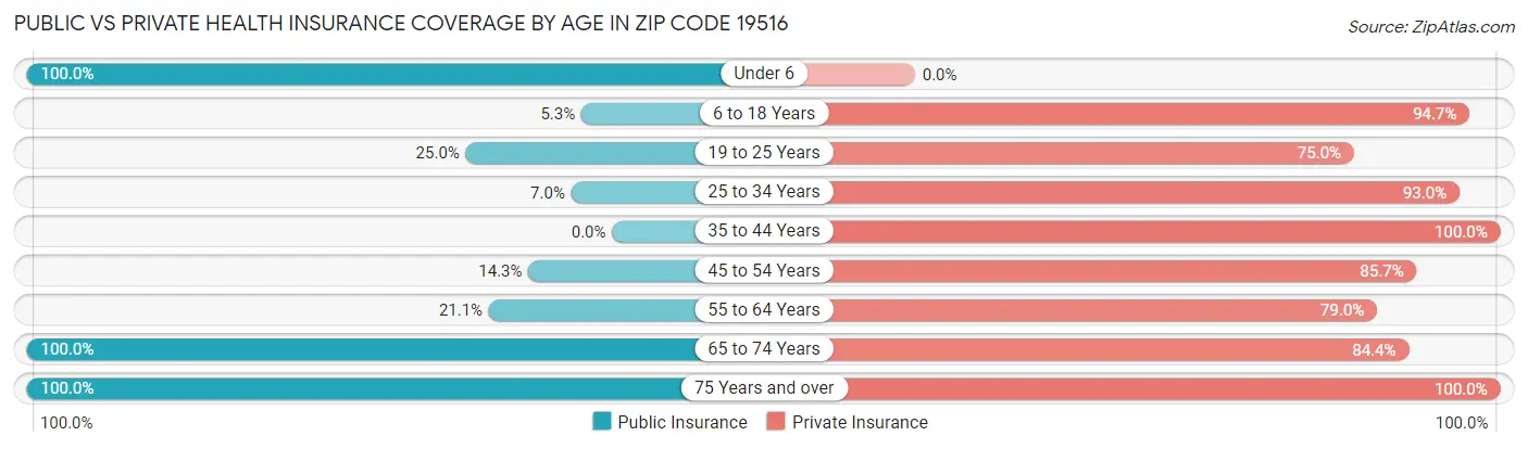 Public vs Private Health Insurance Coverage by Age in Zip Code 19516