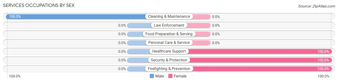 Services Occupations by Sex in Zip Code 19516