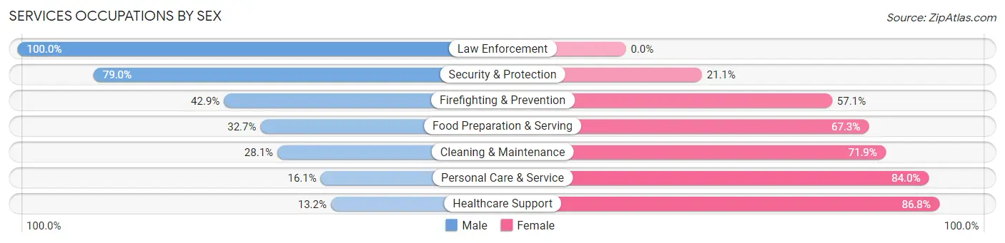 Services Occupations by Sex in Zip Code 19520