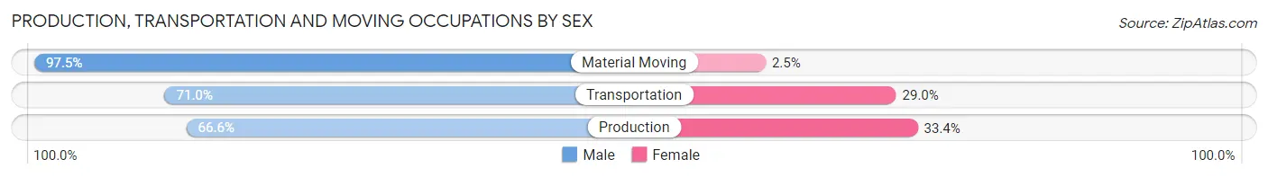 Production, Transportation and Moving Occupations by Sex in Zip Code 19522