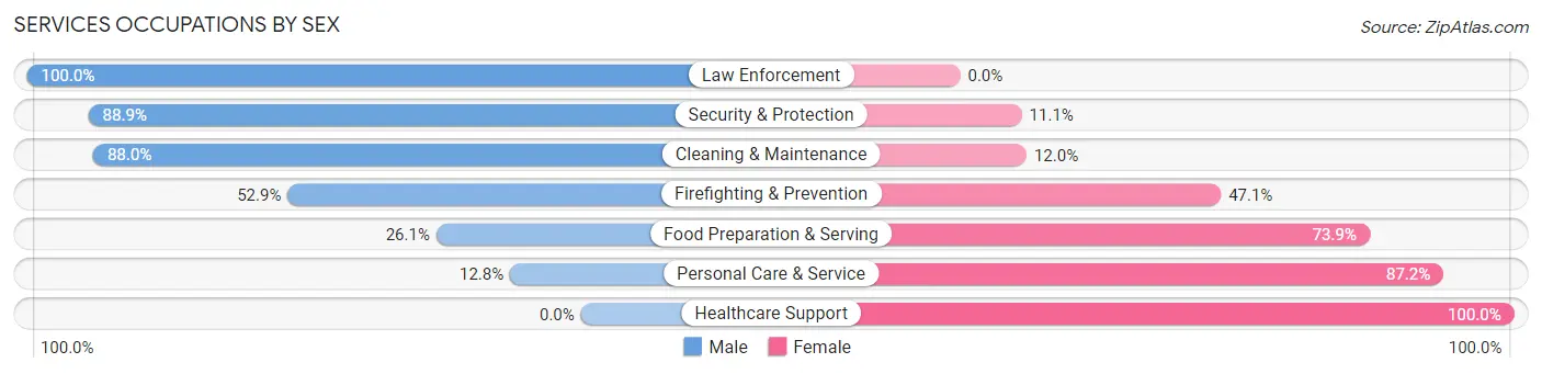 Services Occupations by Sex in Zip Code 19522