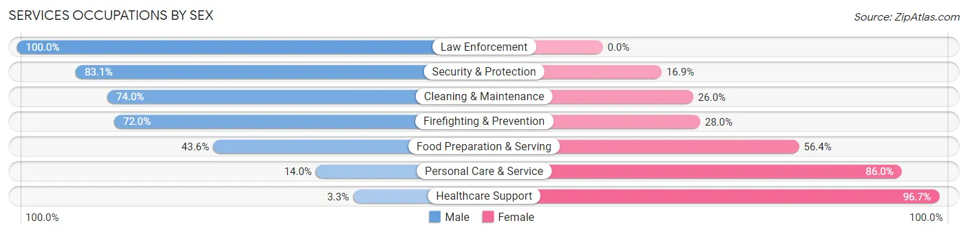 Services Occupations by Sex in Zip Code 19525