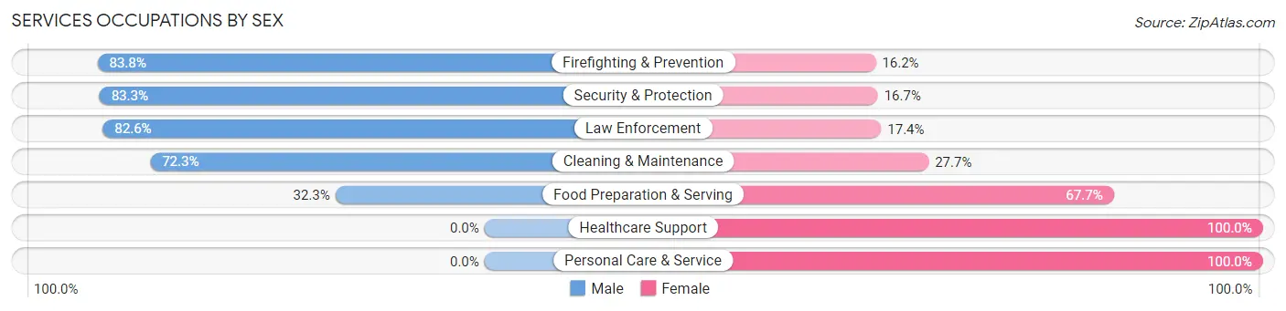Services Occupations by Sex in Zip Code 19526