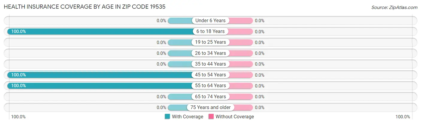 Health Insurance Coverage by Age in Zip Code 19535