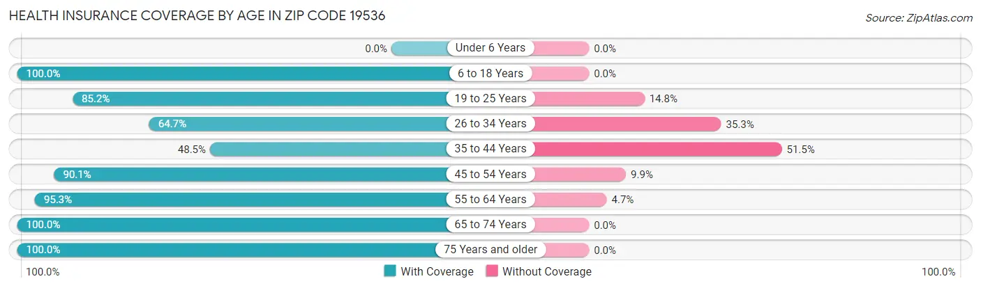 Health Insurance Coverage by Age in Zip Code 19536