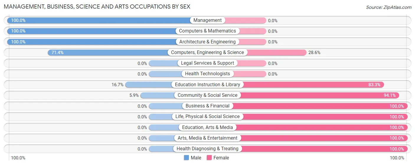 Management, Business, Science and Arts Occupations by Sex in Zip Code 19536