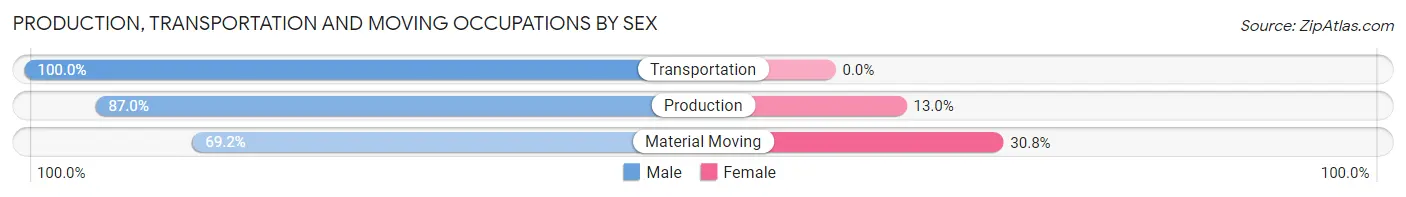 Production, Transportation and Moving Occupations by Sex in Zip Code 19540