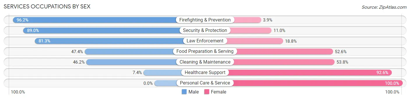 Services Occupations by Sex in Zip Code 19540