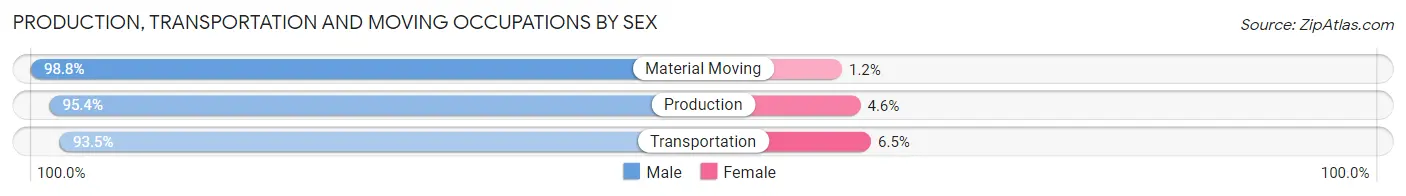 Production, Transportation and Moving Occupations by Sex in Zip Code 19541