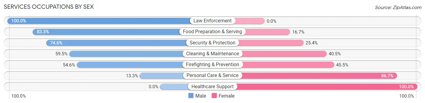 Services Occupations by Sex in Zip Code 19541
