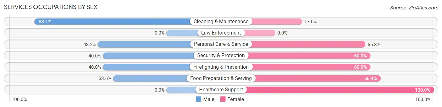 Services Occupations by Sex in Zip Code 19543